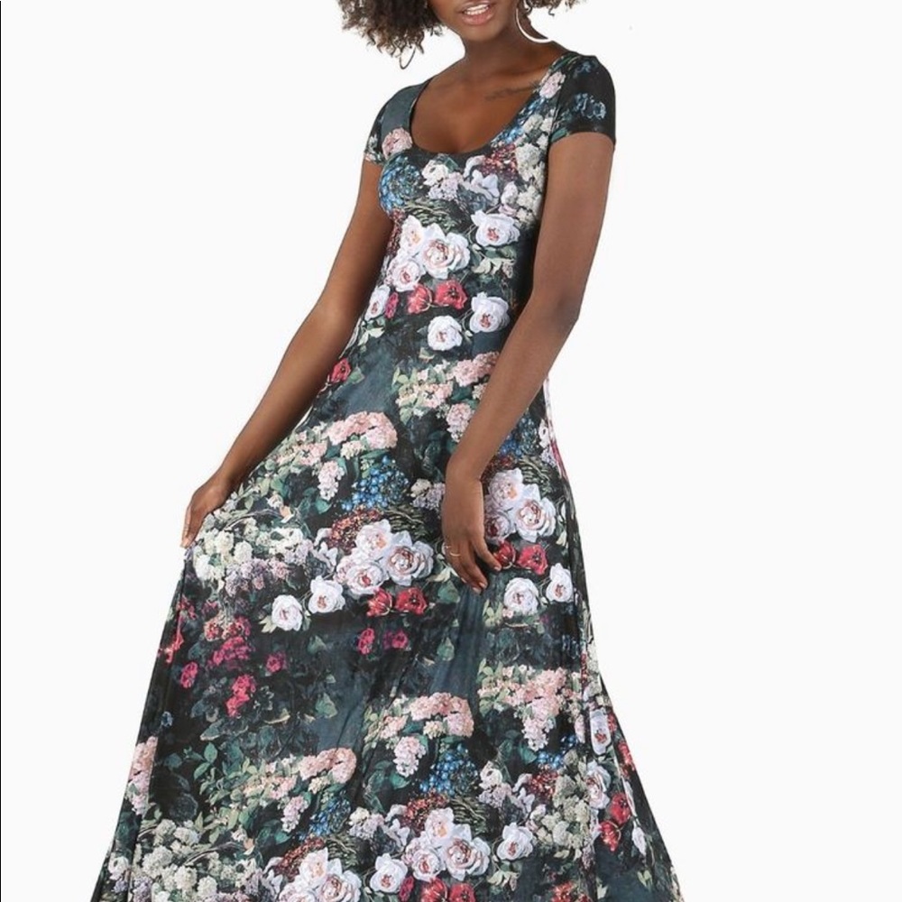 BLACKMILK - RARE- Take my Monet maxi dress w/cap sleeve- limited RARE!!!